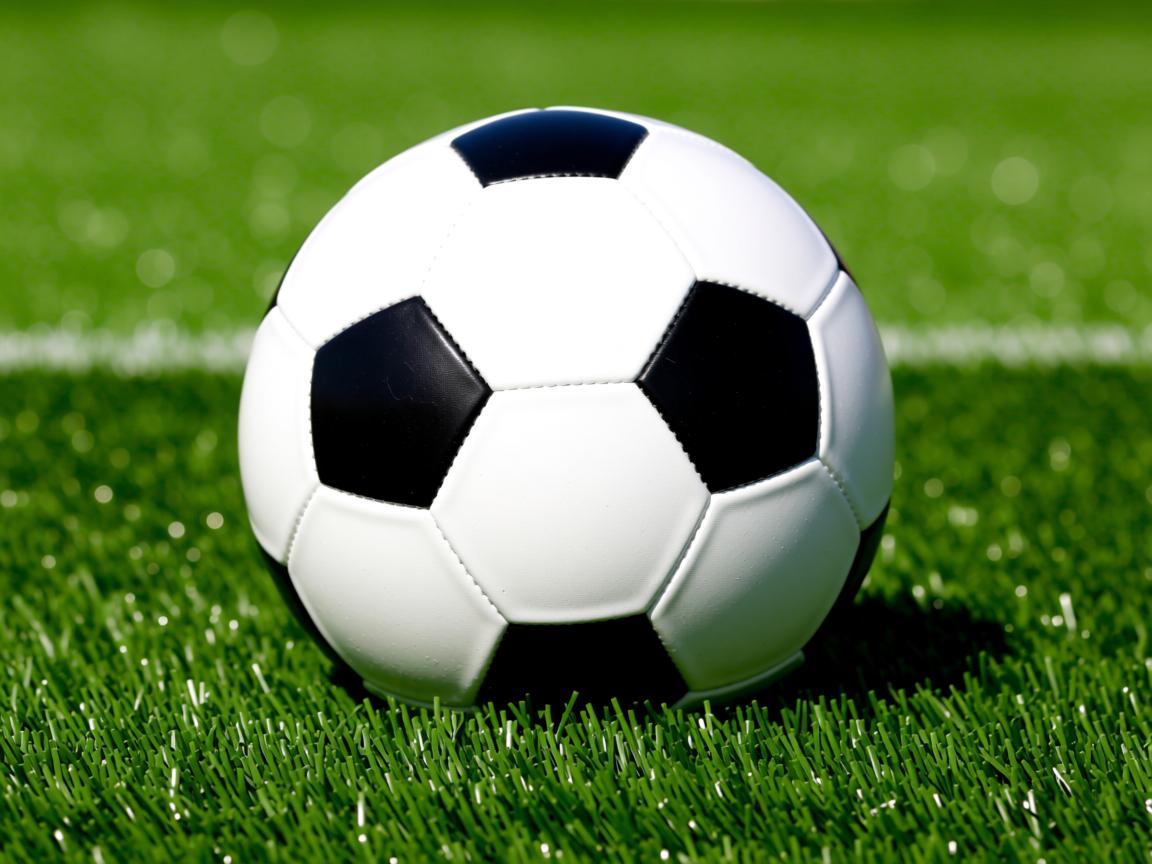 爱游戏官网充值-瑞典乒乓球队未来的崛起：培养新一代球星，瑞典著名乒乓球有哪些选手